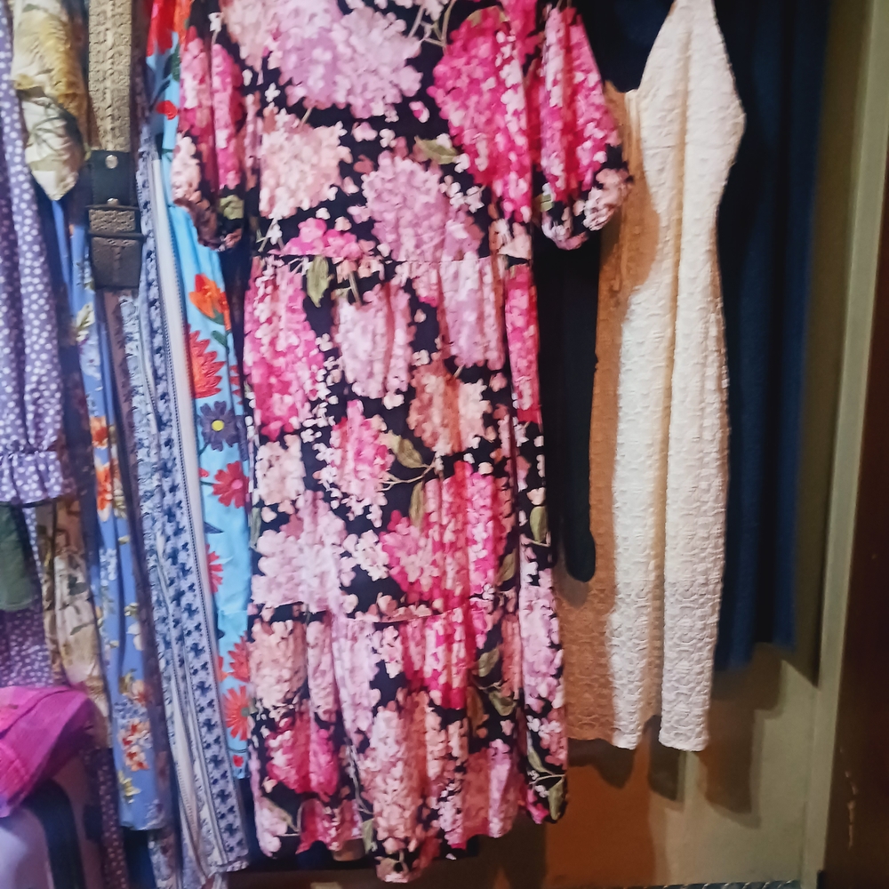 H&M Floral Pink and Black Maxi Dress